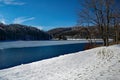 Wintertime View of Abbott Lake Royalty Free Stock Photo